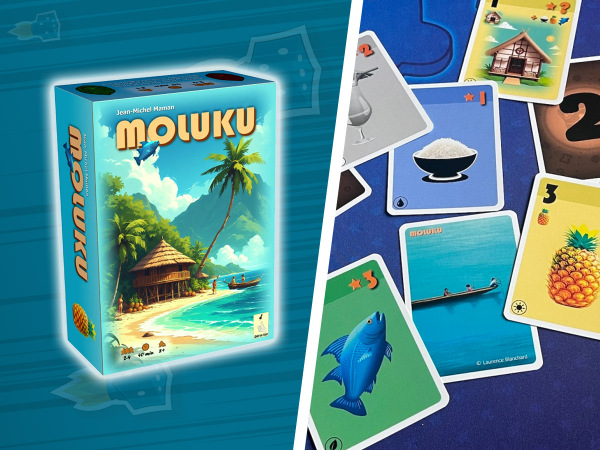 [Test] Moluku, qui a piqué l'ananas dans ma cabane ?
